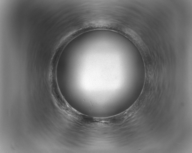 X0000076260583200609281209
