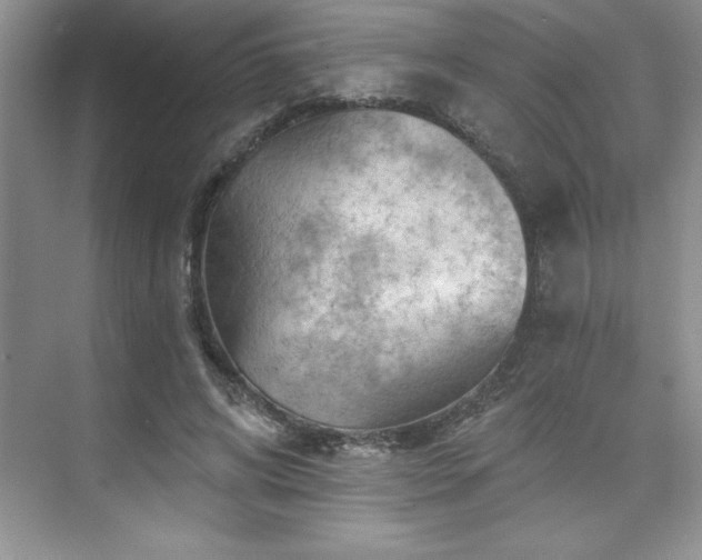X0000076260592200609281209