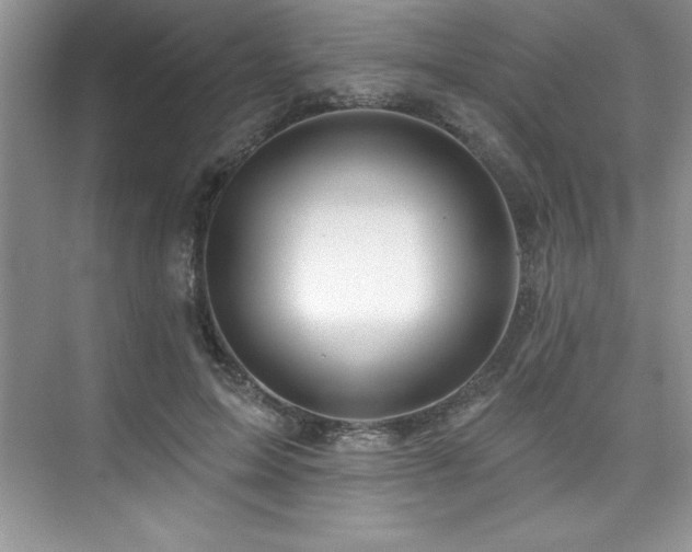 X0000076260599200609281209