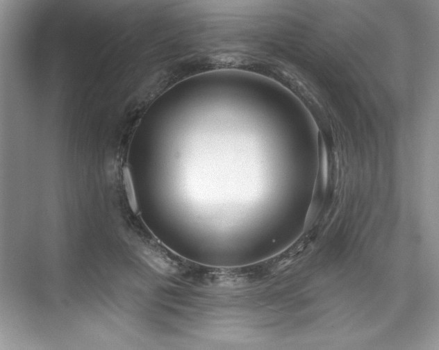 X0000076260601200609281209