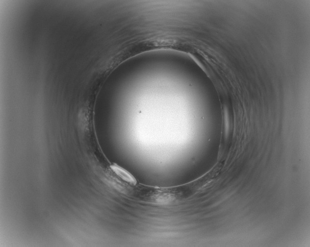X0000076260604200609281209