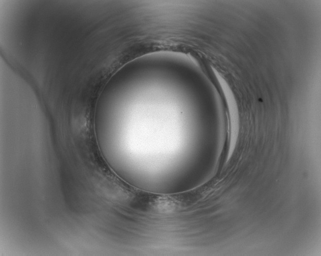X0000076260608200609281209
