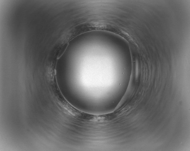 X0000076260609200609281209