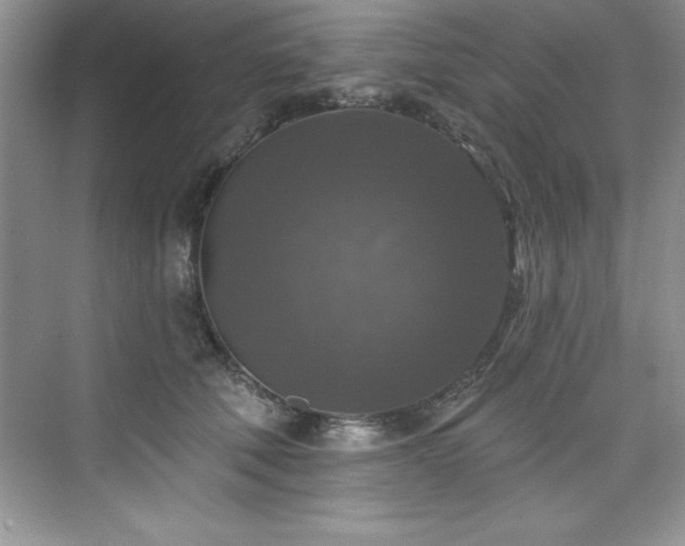 X0000076260610200609281209