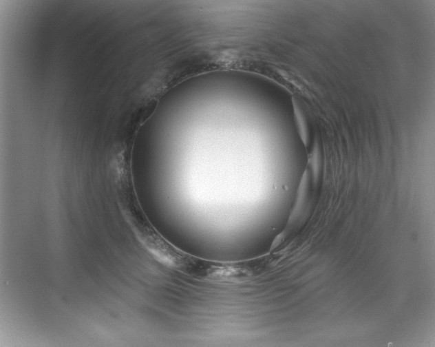 X0000076260611200609281209