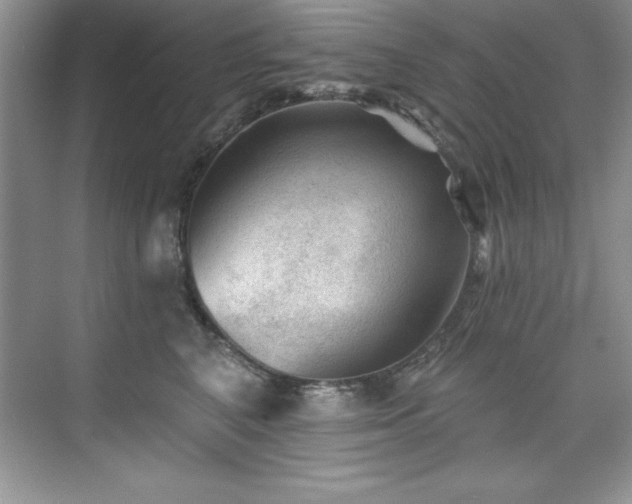 X0000076260616200609281208