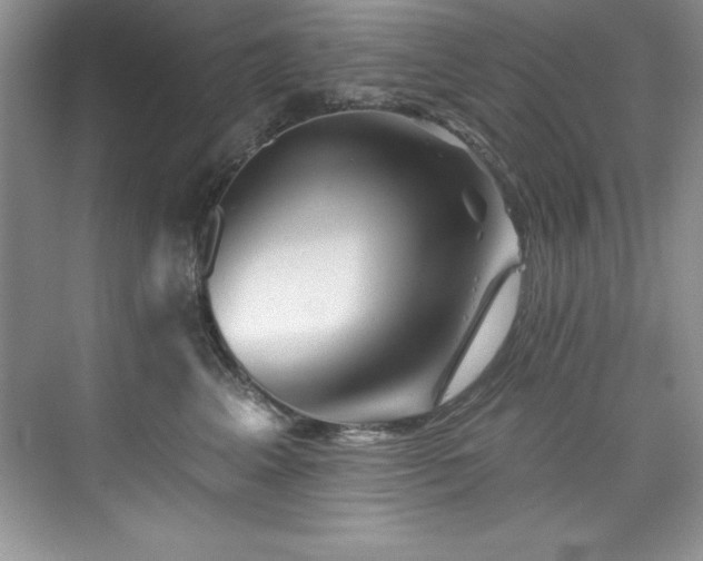 X0000076260617200609281208