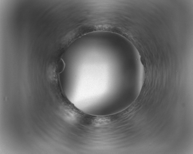 X0000076260619200609281208