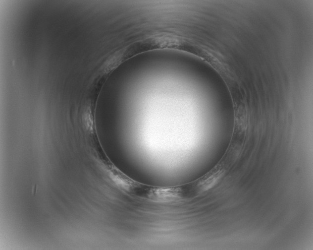 X0000076260622200609281208