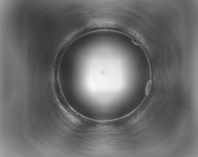 X0000076260629200609281208