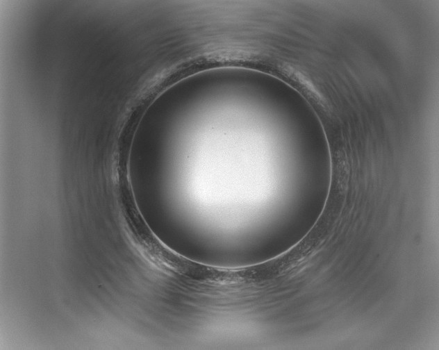 X0000076260631200609281208