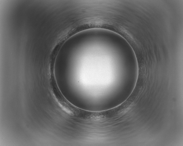 X0000076260638200609281208