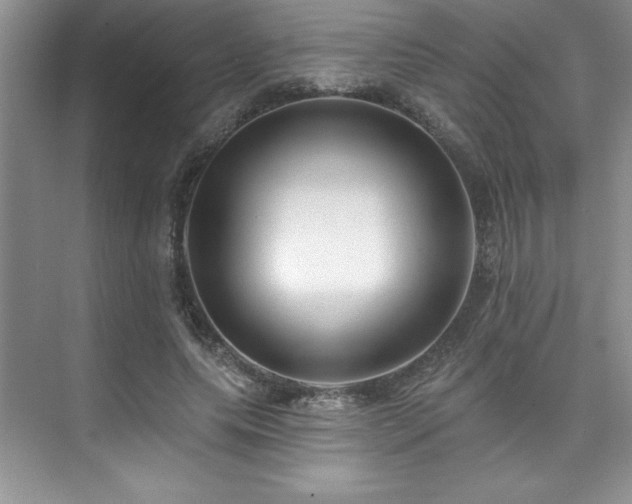 X0000076260639200609281208