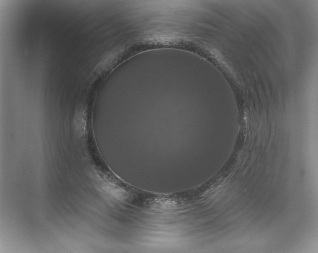X0000076260640200609281208