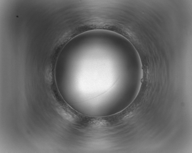X0000076260642200609281208