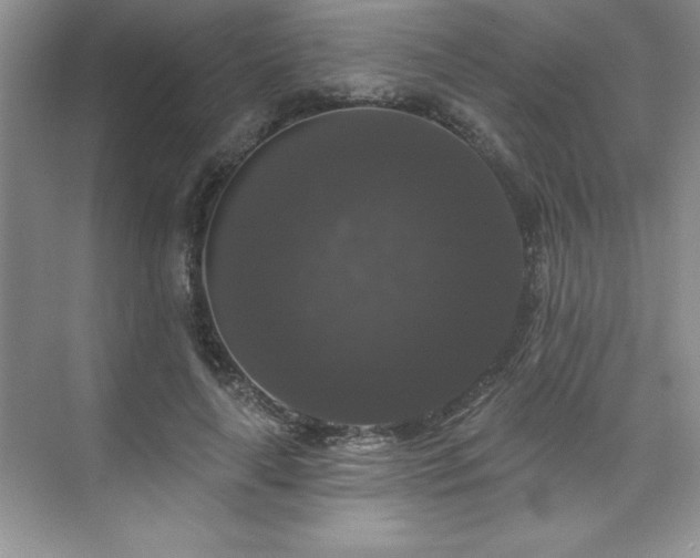 X0000076260643200609281208