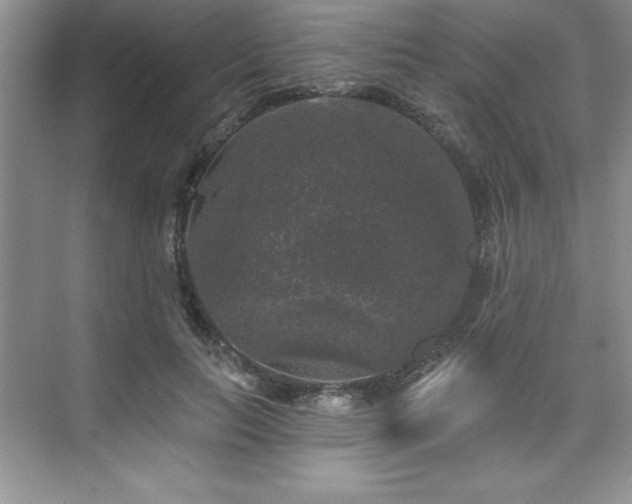 X0000076260647200609281208