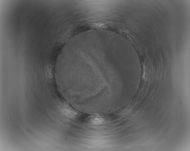 X0000076260658200609281208