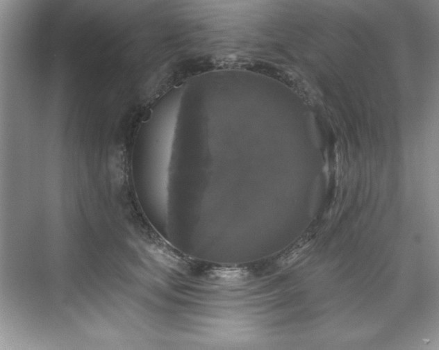 X0000076260659200609281208