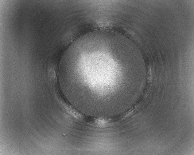 X0000076260662200609281208