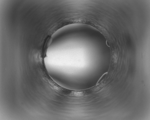X0000076260665200609281208