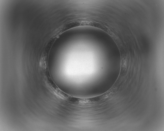 X0000076260666200609281208