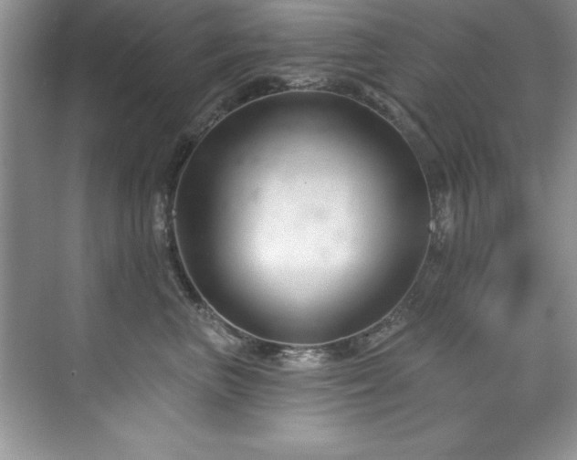 X0000076260667200609281208