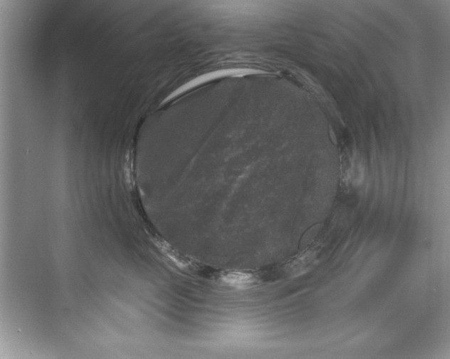 X0000076260669200609281208
