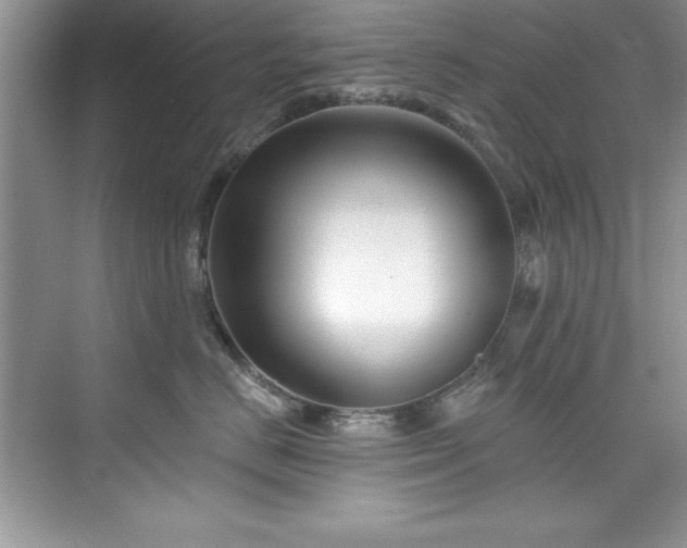 X0000076260670200609281208