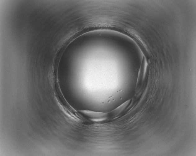 X0000076260677200609281207