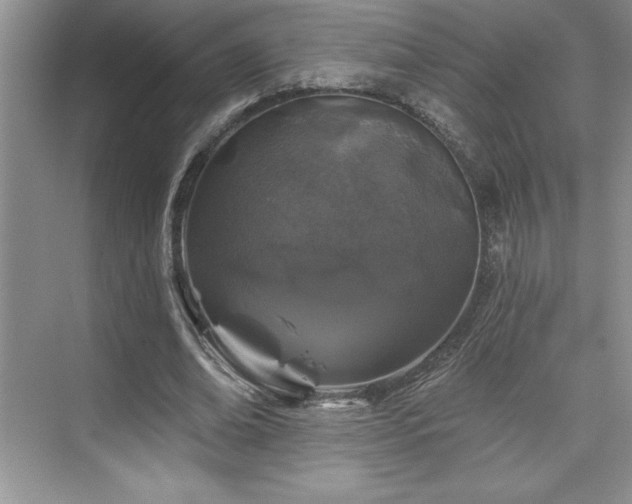 X0000076260678200609281207