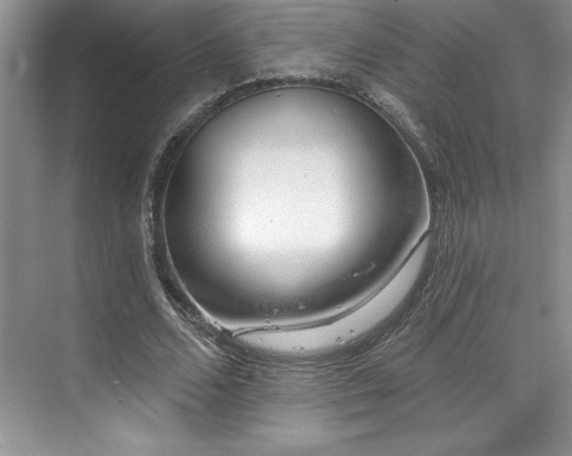 X0000076260680200609281207