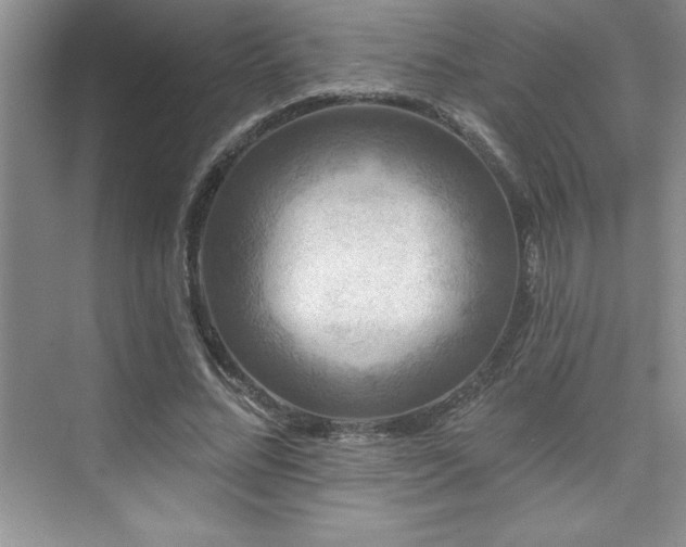 X0000076260684200609281207
