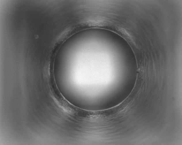 X0000076260686200609281207