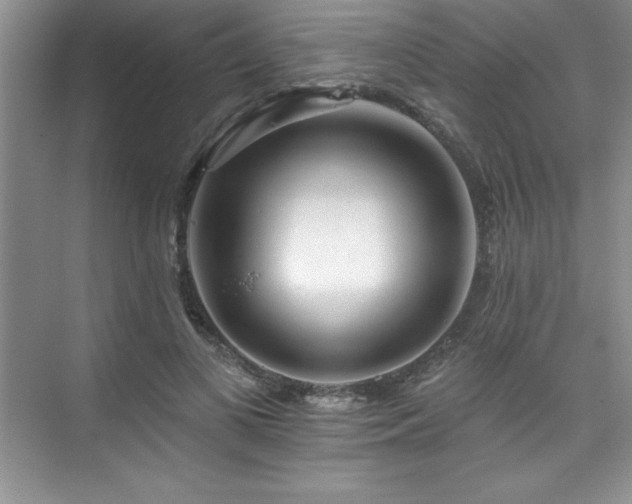 X0000076260693200609281207