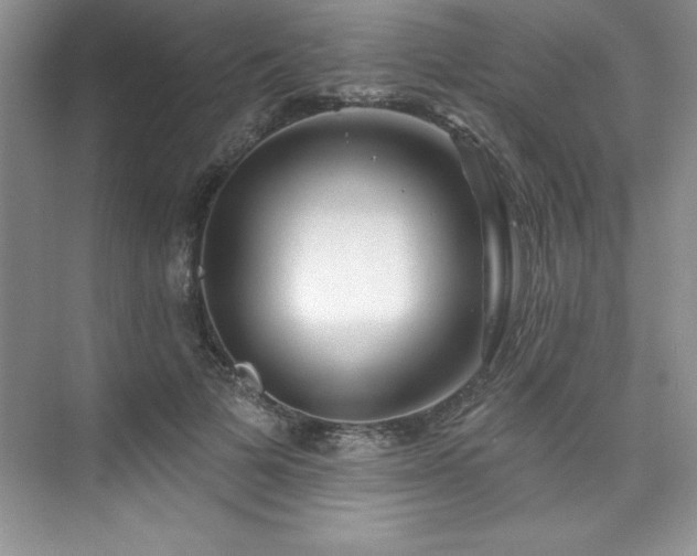 X0000076260697200609281207