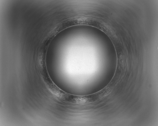 X0000076260698200609281207
