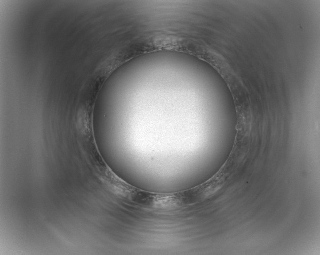 X0000076260705200609281207