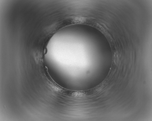 X0000076260714200609281207