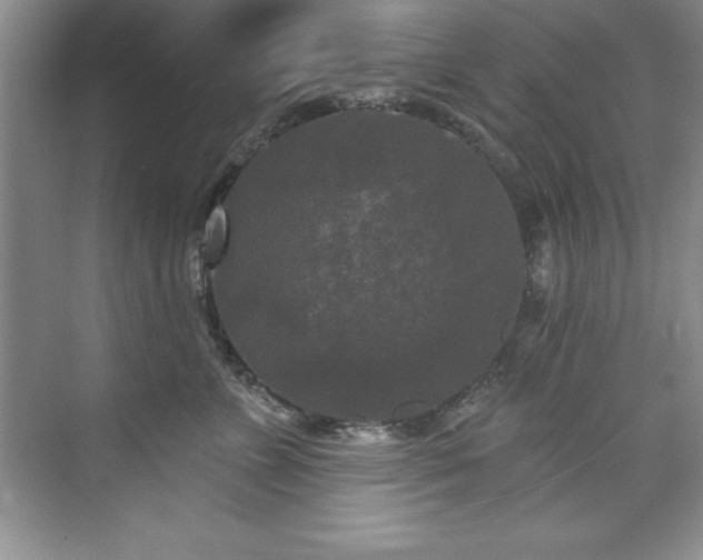 X0000076260715200609281207