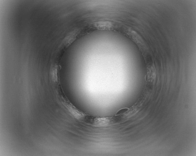 X0000076260717200609281207
