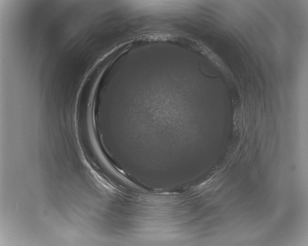 X0000076260722200609281206