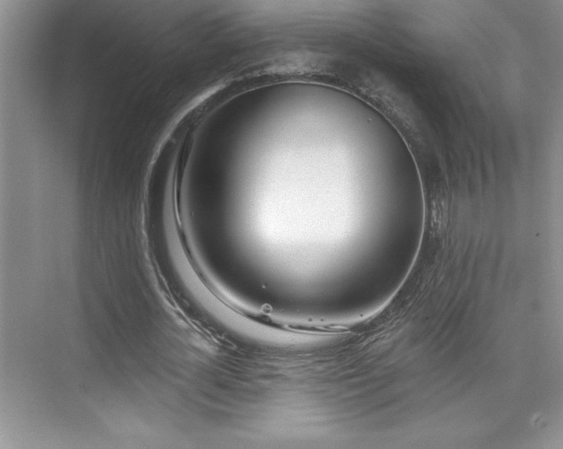 X0000076260724200609281206