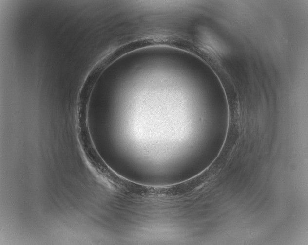 X0000076260730200609281206