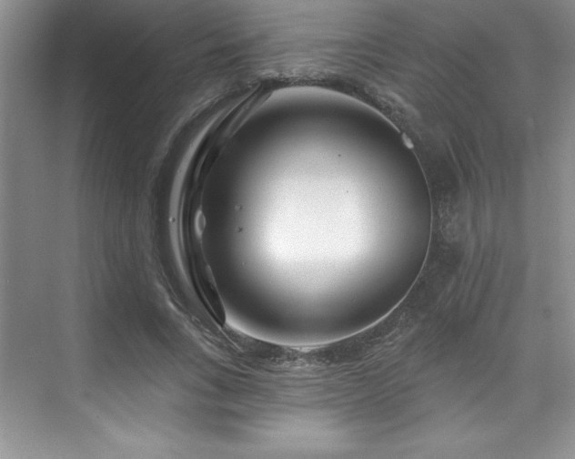 X0000076260735200609281206
