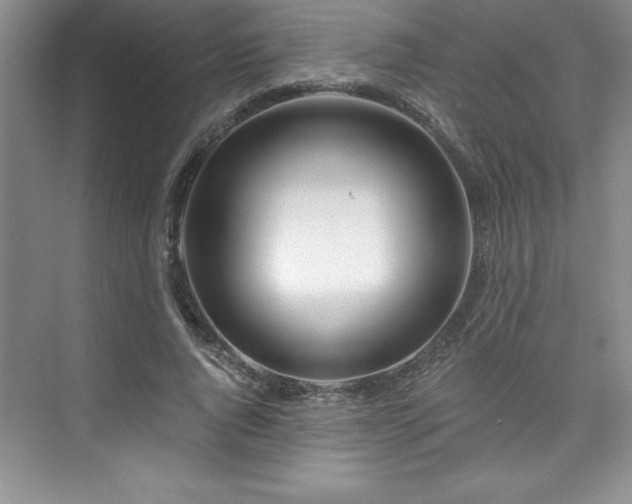X0000076260736200609281206