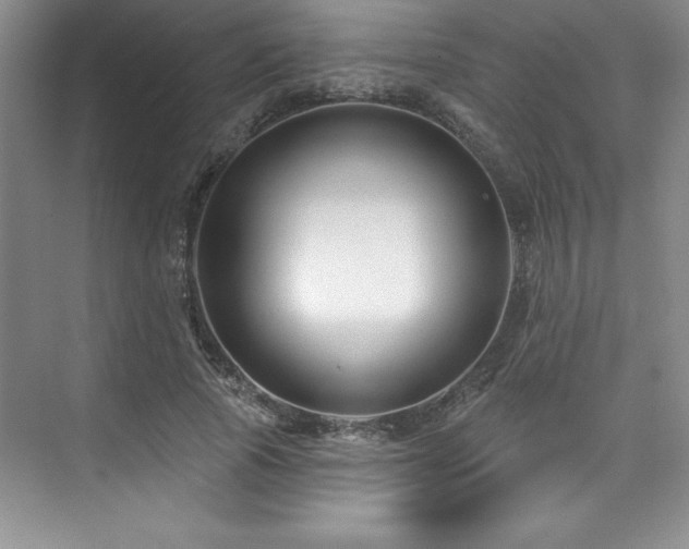 X0000076260737200609281206