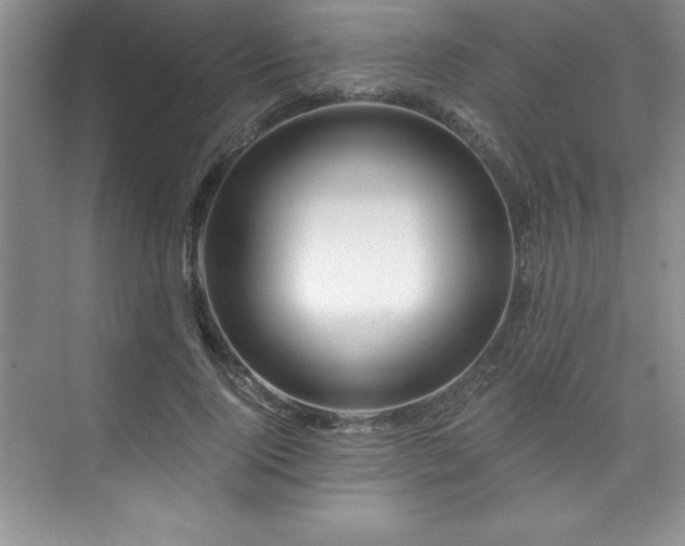X0000076260740200609281206