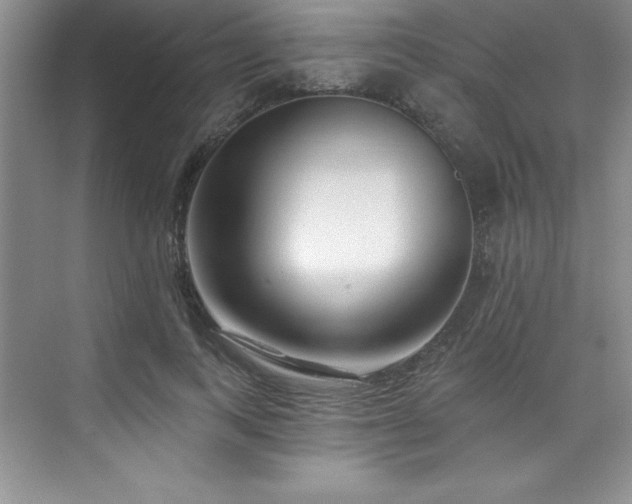 X0000076260743200609281206
