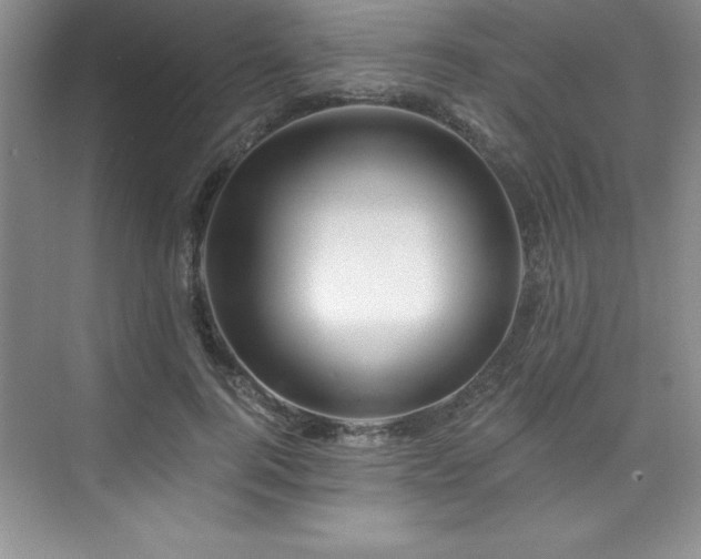 X0000076260744200609281206